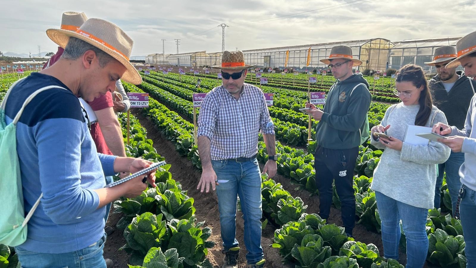 Lechuga y Espinaca basf Nunhems Demo Salads (24)|Lechuga y Espinaca Nunhems Demo Salads (18)|Lechuga y Espinaca Nunhems Demo Salads (21)|imagen basf nunhems recoleccion lechuga